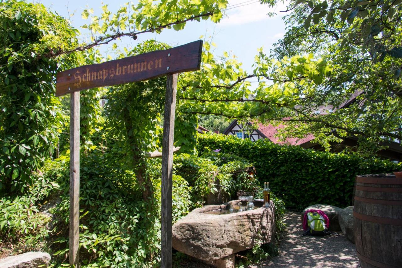 Terrassenpark Apartments Sasbachwalden Luaran gambar
